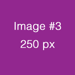 name4 last4 - position